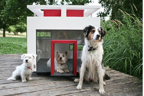 Dog Mansion Cubix. Luxury glass dog home