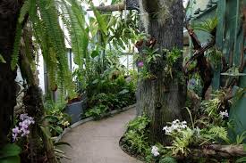 the-orchid-house